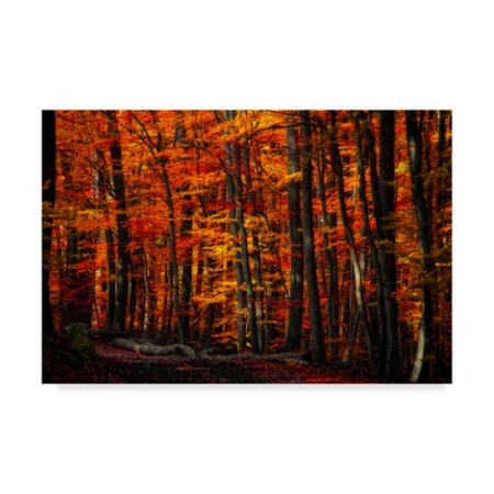 Trademark Fine Art